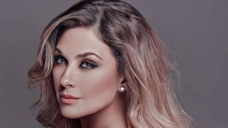 Aracely Arámbula, Luis Miguel