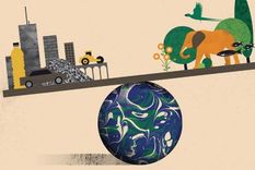 Se estima que lo creado por el hombre pesa más que todos los seres vivos.