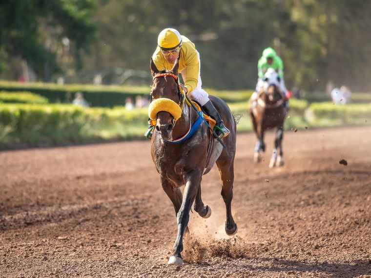 Optimist Boy ganó muy bien el clásico central. Foto: José Maluf