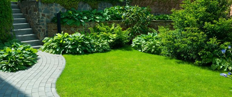 JARDINERÍA EL SLOW GARDENING ES TENDENCIA EN EL MUNDO DE JARDINERÍA. Foto: Shutterstock