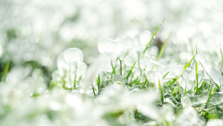 Según el alerta de Defensa Civil, no se descarta la caída de granizo Foto: Pexels