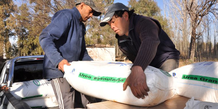 Foto: Agustín Mauricio/Mediamza.com