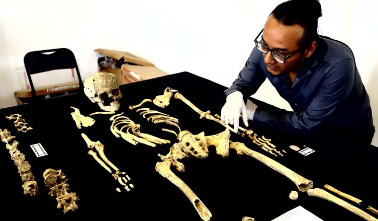 México arqueología arqueólogos El especialista en Antropología Física Martín Hernández Carbajal ofrece detalles sobre los once entierros humanos. Foto: Efe.