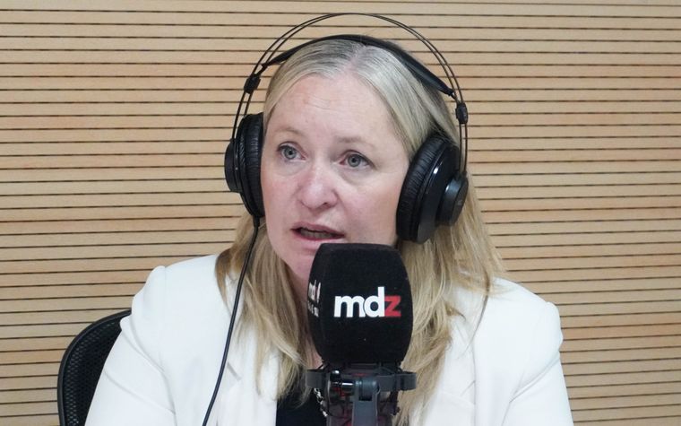 Hebe Casado habló sobre su futuro político. Hebe Casado habló sobre su futuro político.