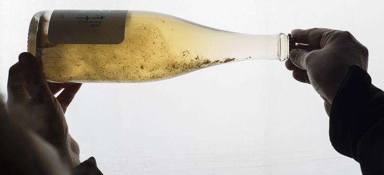 Foto: Wines of Argentina