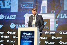 Pablo Miedziak, presidente del IAEF.
