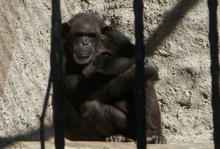 Foto: Ulises Naranjo / MDZ.
