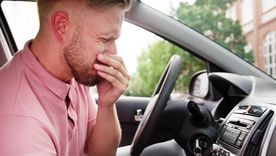 El olor a humedad se volvió un problema frecuenta en los autos de Mendoza. El olor a humedad se volvió un problema frecuenta en los autos de Mendoza.