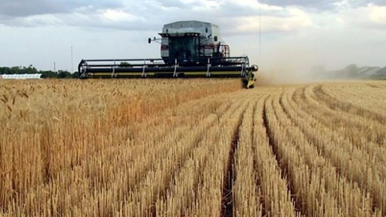 Frente a un planeta con más de 8000 millones de personas, el profesional de las ciencias agrarias, se enfrenta día a día a la toma de decisiones para encontrar soluciones, no solo alimentarias. Foto: MDZ