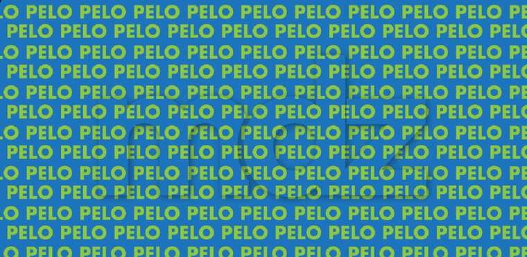 El acertijo visual no solo entretiene sino ejercita la visión en general Foto: Archivo MDZ