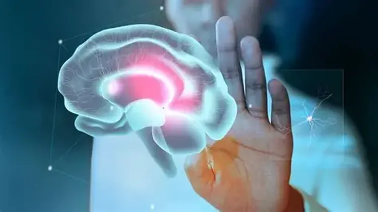 Desde la neurociencia sabemos que el cerebro necesita dificultad para desarrollarse. Desde la neurociencia sabemos que el cerebro necesita dificultad para desarrollarse.