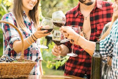 MDZol | Un combo con tres espectaculares botellas de Malbec puede ser tuyo.