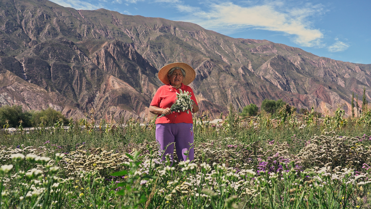 Una joya cultural y paisajística que se encuentra dentro de la Quebrada de Humahuaca, donde se fusionan paisajes majestuosos y tradiciones ancestrales. Una joya cultural y paisajística que se encuentra dentro de la Quebrada de Humahuaca, donde se fusionan paisajes majestuosos y tradiciones ancestrales.