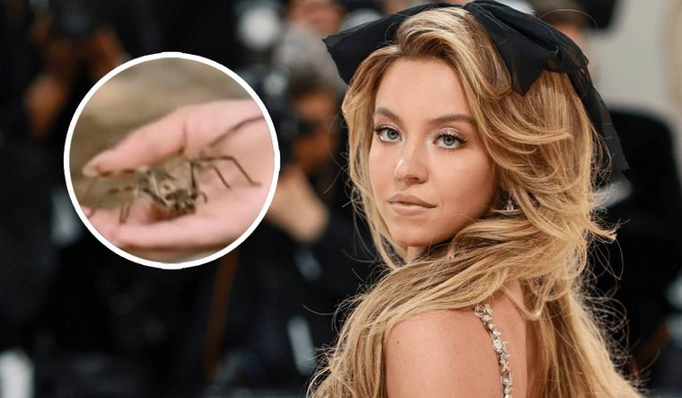 Sydney Sweeney pasó un mal momento con una araña.
