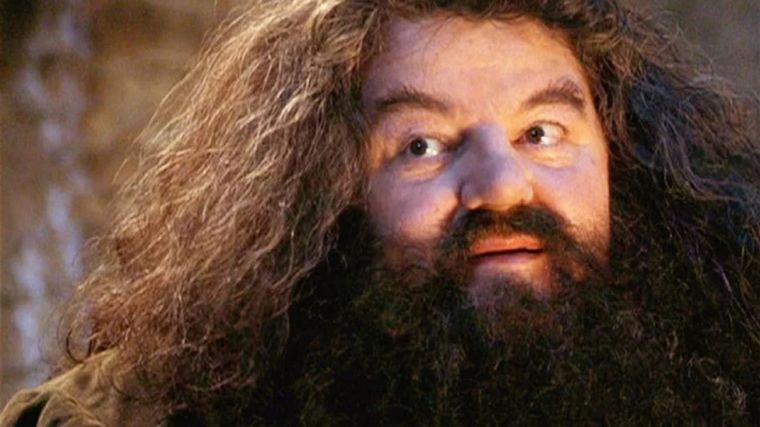 Robbie Coltrane Uno de los papeles más recordados fue el de Hagrid Rubeaus en la saga de Harry Potter. Foto: Fuente: Imagen / Harry Potter