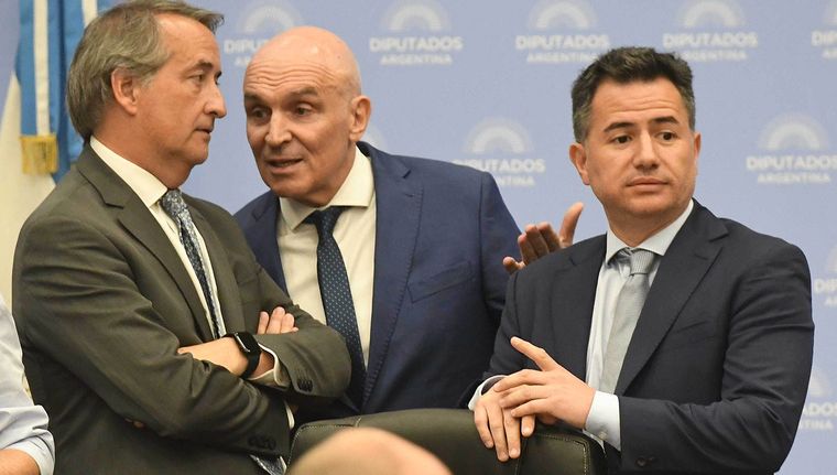 José Luis Espert fue uno de los que condujo el plenario de comisiones Foto: Télam