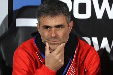 MDZol | Julio Vaccari