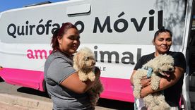 Banco Nación te da descuentos para atender a tu mascota. Banco Nación te da descuentos para atender a tu mascota.