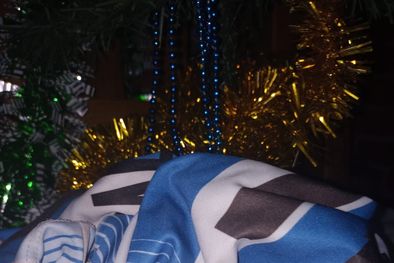 MDZol | Foto: Laura Fiochetta