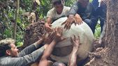 Siete urnas funerarias fueron descubiertas bajo las raíces de un árbol caído en la región de várzea de Lago do Cochila. El descubrimiento aporta nuevas evidencias sobre la ocupación ancestral en la Amazonía.