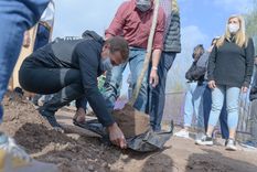 pelea judicial, un oportuno anuncio y las dudas de la eleccion pelea judicial, un oportuno anuncio y las dudas de la eleccion