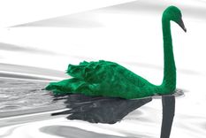 ¿un cisne verde? las posibles causas de la futura crisis economica global