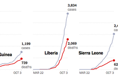 datos y mapas: cuatro miradas del new york times sobre el ebola