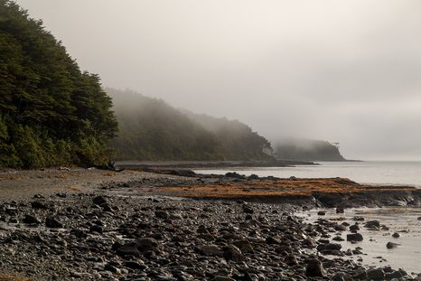 Chile late en estado salvaje en Cabo Froward, al fin del continente. Chile late en estado salvaje en Cabo Froward, al fin del continente.