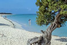 Aruba se posiciona como el lugar caribeño más elegido por turistas durante el verano 2026.