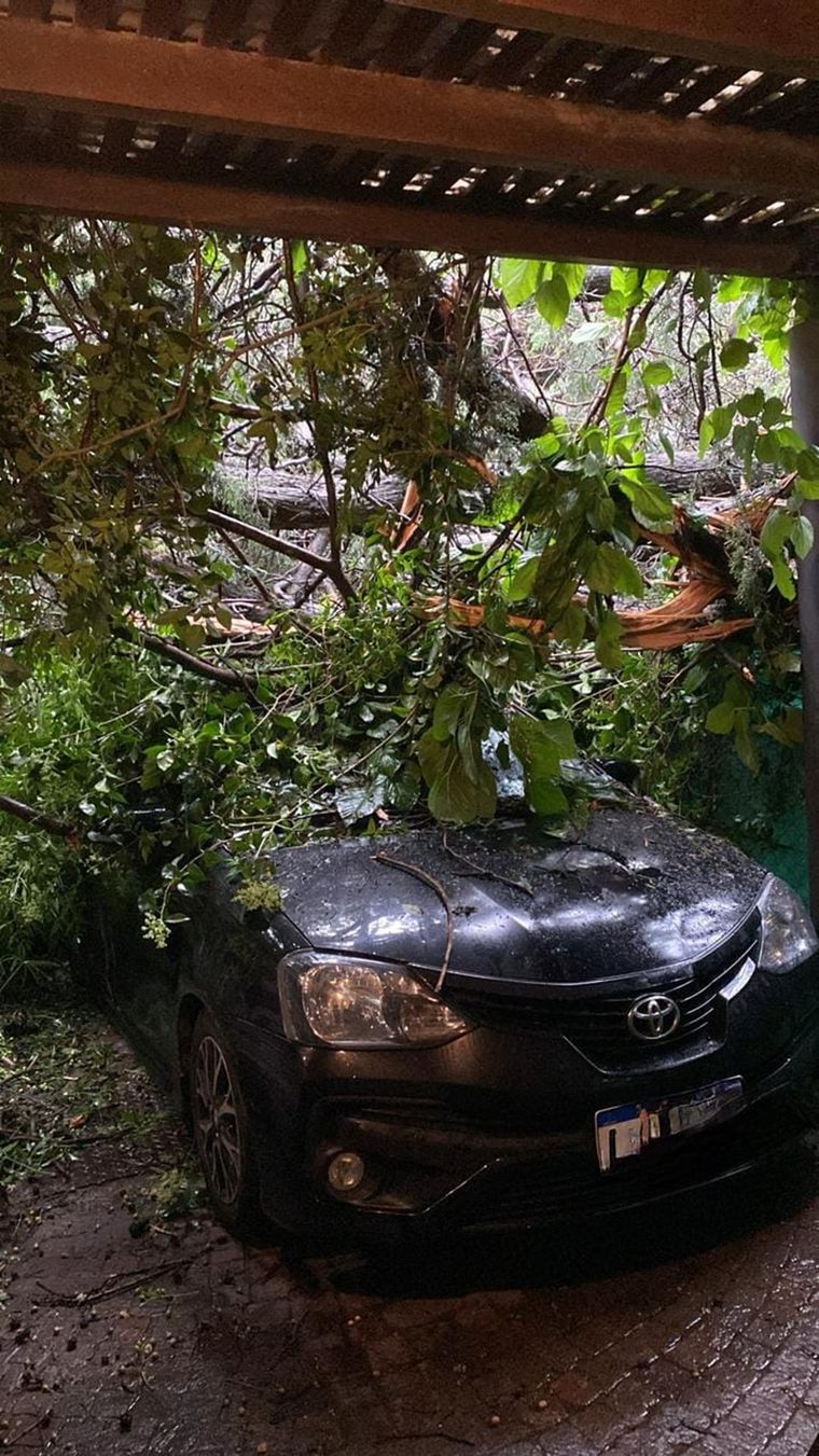 La familia Rossi quedó aislada luego del temporal