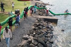 Una vista aérea con voluntarios que llevan una barrera de pelo hecha a mano para bloquear el petróleo en la isla Mauricio, en agosto de 2020. Foto: Gentileza qiarg.org