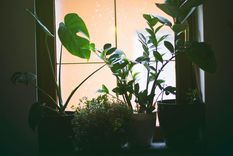 El método efectivo para limpiar las ventanas sin dejar rayas en los cristales Existen productos especializados para esto en el mercado, pero hoy presentamos un método casero. Foto: Pexels