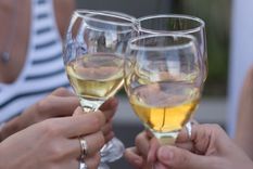 Las degustaciones son un clásico mendocino. Foto: Municipalidad de Ciudad de Mendoza