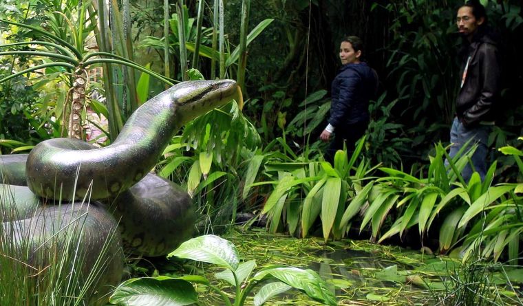 Representación de una serpiente prehistórica en el Jardín Botánico de Bogotá, Colombia. Foto: Efe.