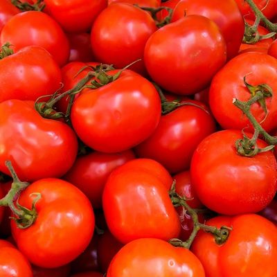 400 g de tomate triturado