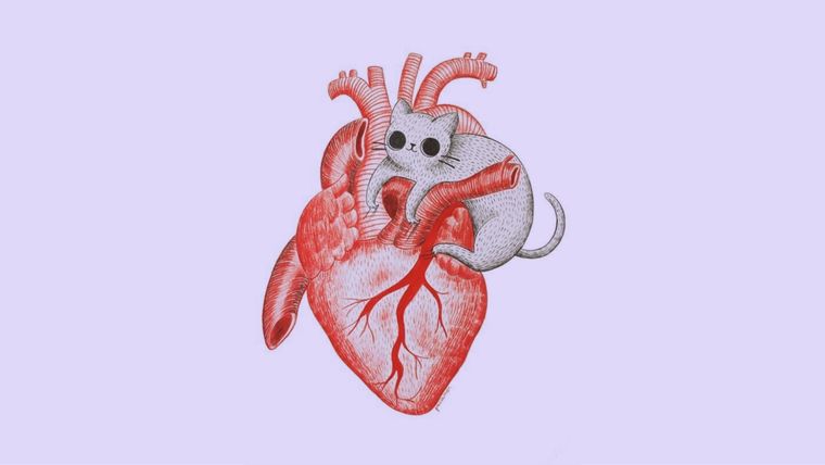 Test de personalidad