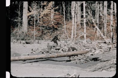 MDZol | Foto: thedavisreport.files.wordpress.com