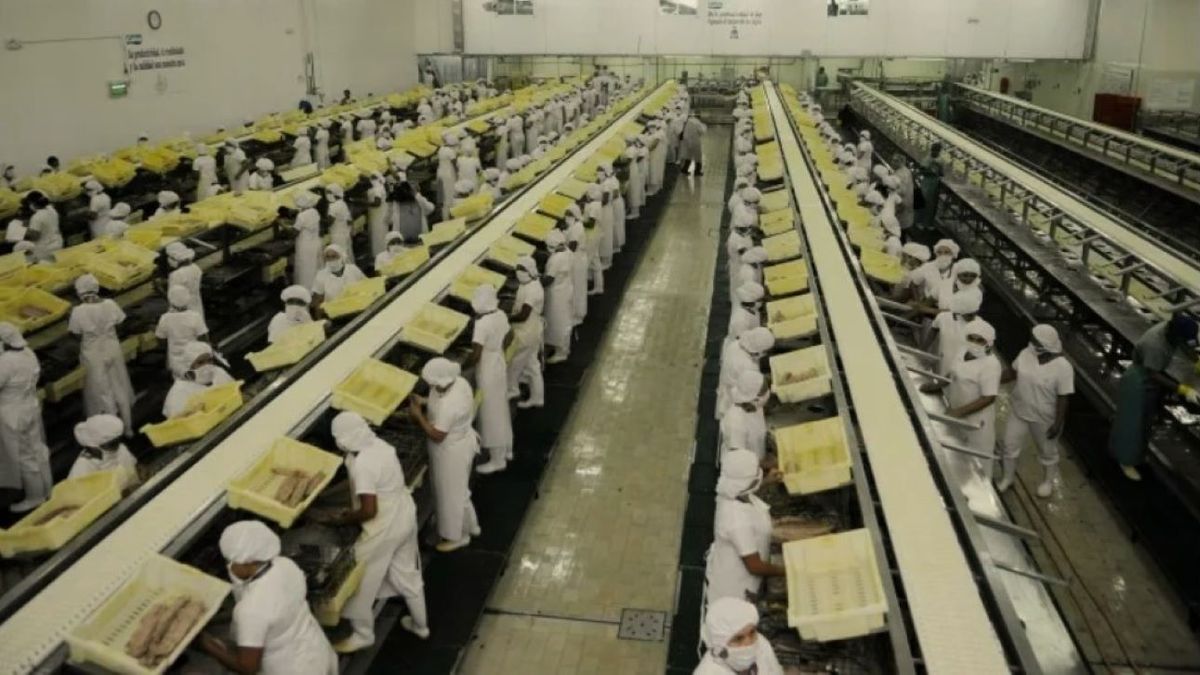Alemania aconseja a sus ciudadanos comprar más alimentos enlatados para crisis
