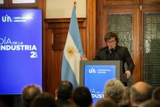 Durante el acto por el Día de la Industria el presidente Javier Milei ratificó que en diciembre se terminará el Impuesto PAIS. Foto: Presidencia de la Nación