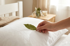 El laurel contiene linalol, compuesto que ayuda a relajar el sistema nervioso. Foto: Gemini IA