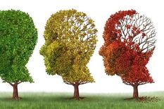 Los únicos medicamentos aprobados para el alzhéimer solo alivian algunos de los síntomas, parcial y temporalmente, pero no detienen el progreso de la enfermedad. Foto: GETTY IMAGES