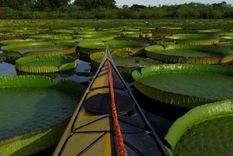 Jaaukanigás se ubica al noreste de la provincia de Santa Fe