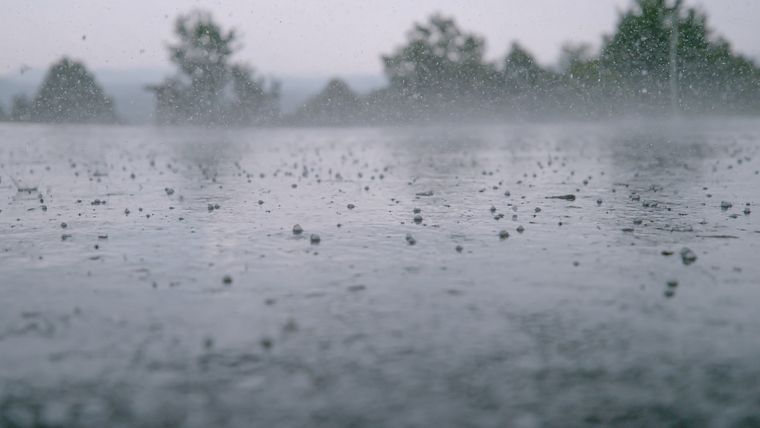 Foto: Shutterstock