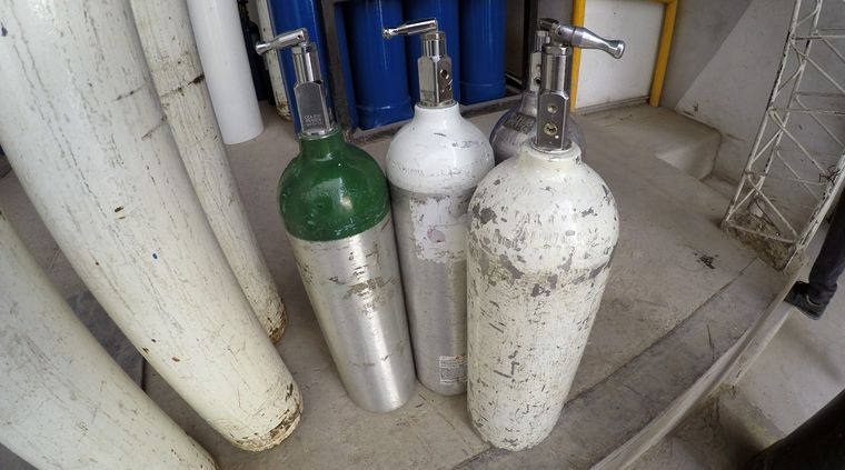 Foto: ALF PONCE MERCADO / MDZ