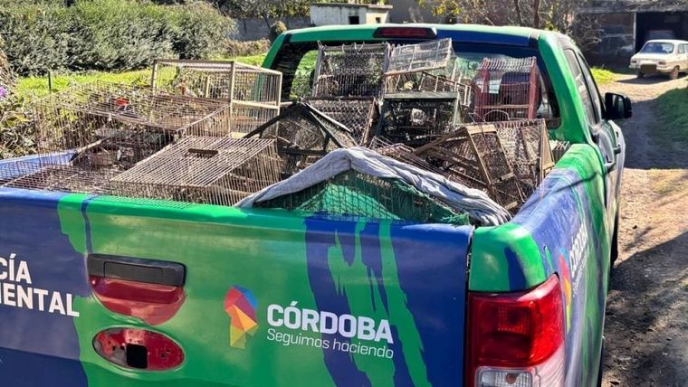 Luego de una compleja investigación, los efectivos lograron encontrar las aves&nbsp;