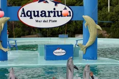 Así funcionó el Aquarium de Mar del Plata hasta marzo de este año.