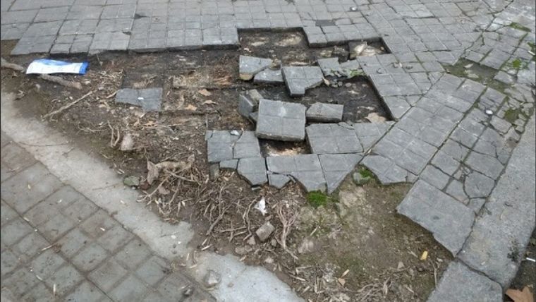 Foto: Imagen Ilustrativa.