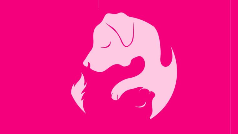 Test de personalidad