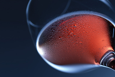 te explico el lenguaje visual para describir un vino + infografias