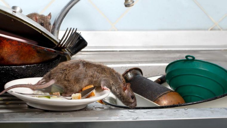 Foto: ElIndependiente.